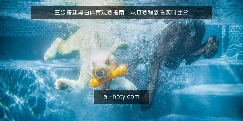 三步搭建黑白体育观赛指南：从查赛程到看实时比分 — 准备：确认设备与网络，注册黑白体育账号 配图