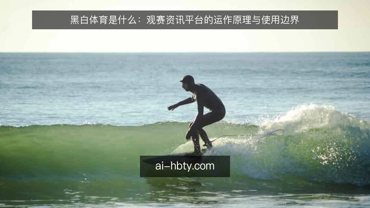 黑白体育是什么：观赛资讯平台的运作原理与使用边界