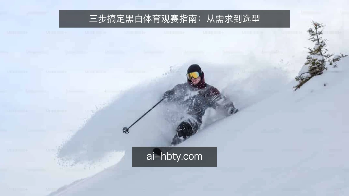 三步搞定黑白体育观赛指南：从需求到选型