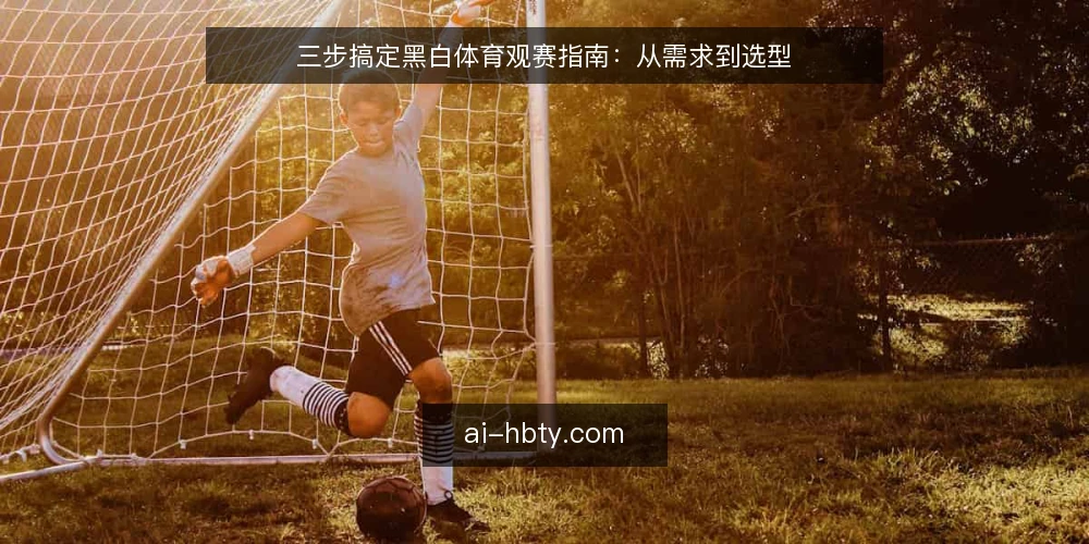 三步搞定黑白体育观赛指南:从需求到选型 — 第一步:明确你的观赛需求边界 配图
