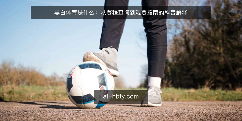 黑白体育是什么:从赛程查询到观赛指南的科普解释 — 黑白体育资讯到底指什么 配图